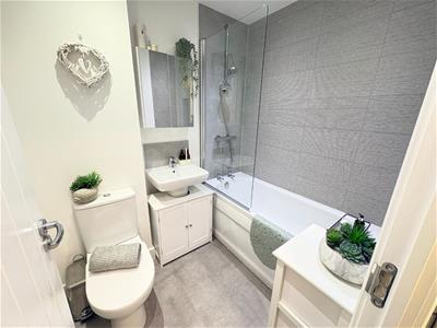 Picture 20